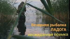 Вечерняя рыбалка на Ладоге без лодки/ НЕОЖИДАННАЯ ПОИМКА.