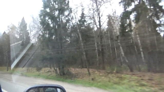 Едем в приют! Щенки и котята в добрые руки )) смотреть онлайн