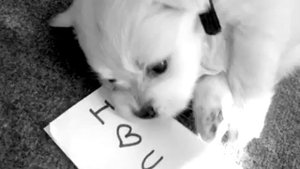 Сладкий Сон Оля