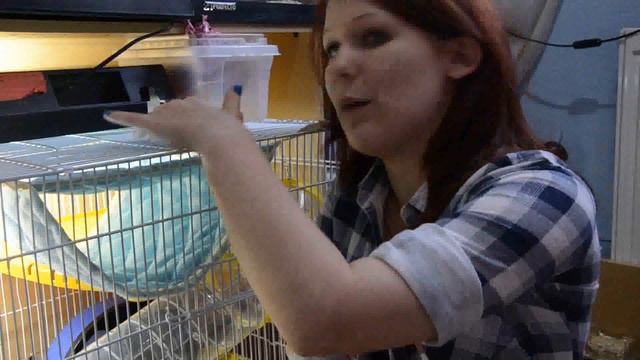 Hammock Review 3/4: The Bunk Bed смотреть онлайн