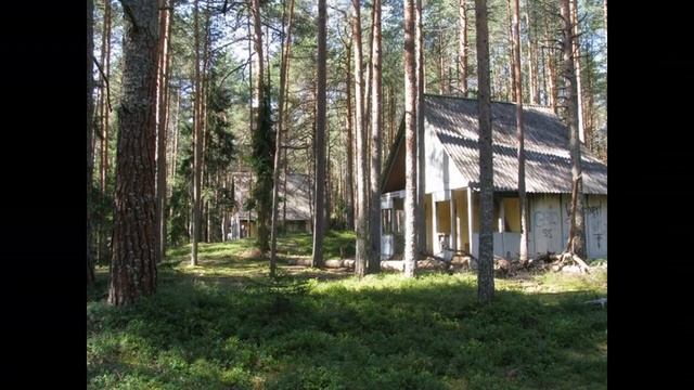 КАК ВКЛЮЧИТЬ МЕХАНИЗМ САМОИСЦЕЛЕНИЯ