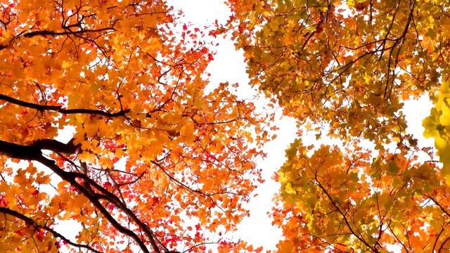 Заклинание для привлечения Счастья в свою Судьбу