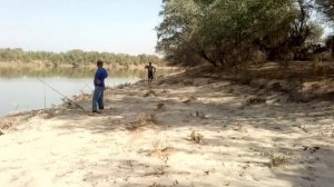 Моҳигирӣ дар Тоҷикистон. бешаи палангон, дарёи Вахш!