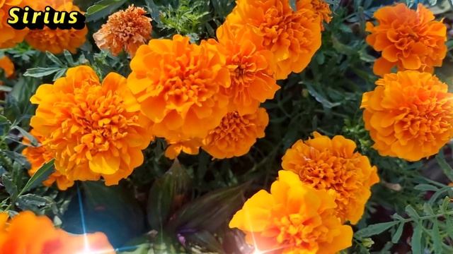 4 апреля Васильев день: что категорически нельзя делать смотреть онлайн