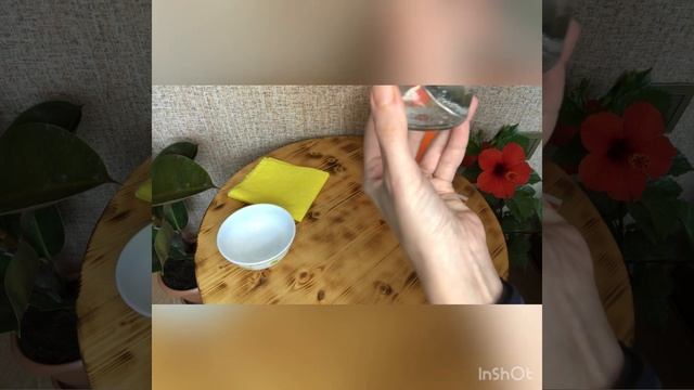 Лучшее средство❗️ для ошеломительного блеска листьев комнатных растений ☘️
