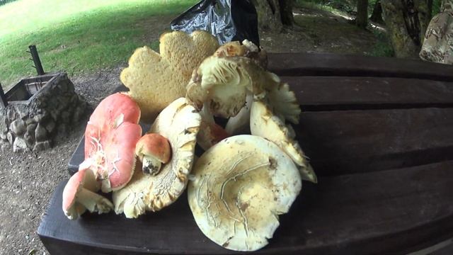 Сутки на поляне МАН,щепочница в деле))) смотреть онлайн