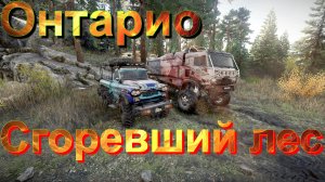 ?????ОНТАРИО????? СГОРЕВШИЙ??ЛЕС?  ЭТО НУЖНО ЗНАТЬ?ПОДПИШИТЕСЬ❗ НАЖМИТЕ?В ТОП