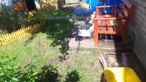 Розы первогодки из питомника Валентины Мещеряковой. Розапенза.ру. Обзор.