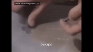 Бизнес идеи для гаражных условий. Бесплатные бизнес идеи