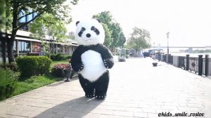 Панда на праздник в Ростове! НОВИНКА! Огромная надувная ПАНДА рост 2.6м! Ростовые куклы