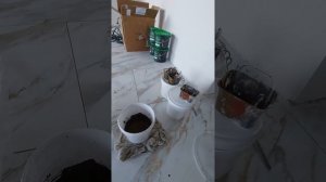 Подготовка стен под мокрый шелк(1)