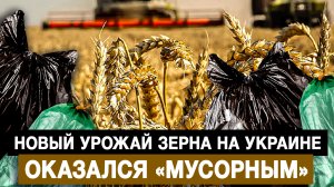 Новый урожай зерна на Украине оказался «мусорным»