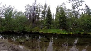 Ловозеры 2014