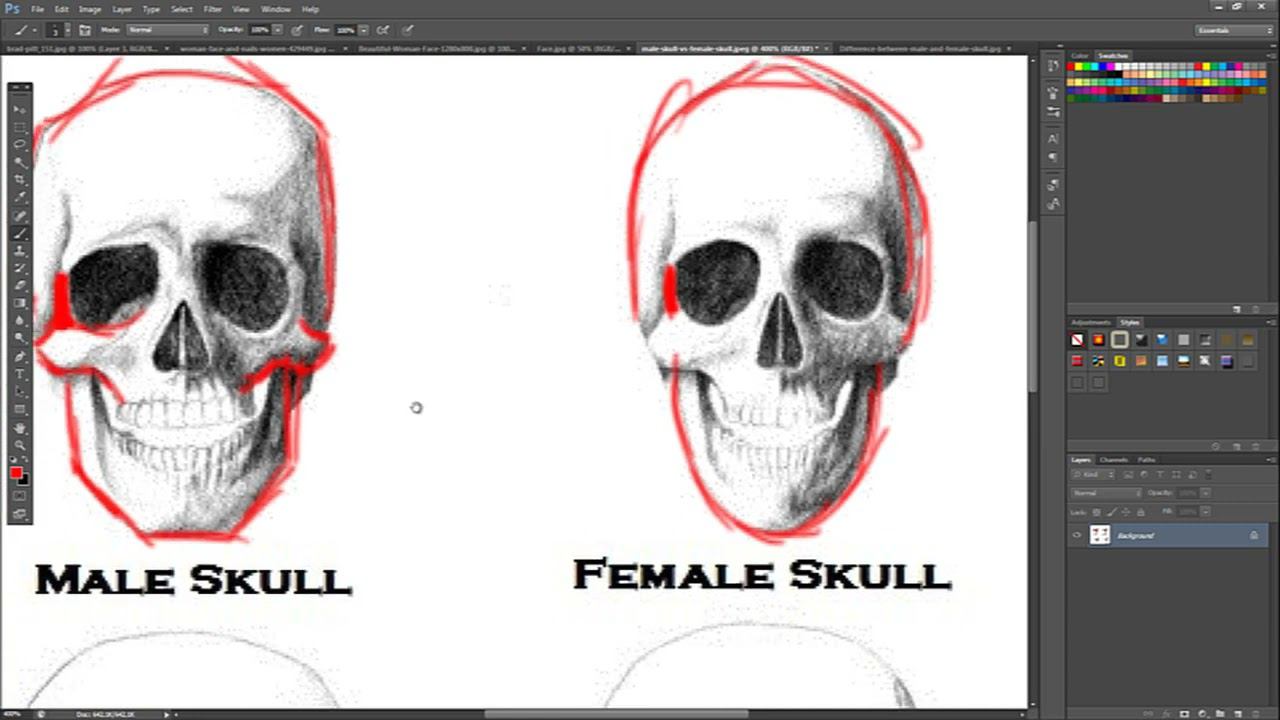02  Analyzing The Male And Female Skull