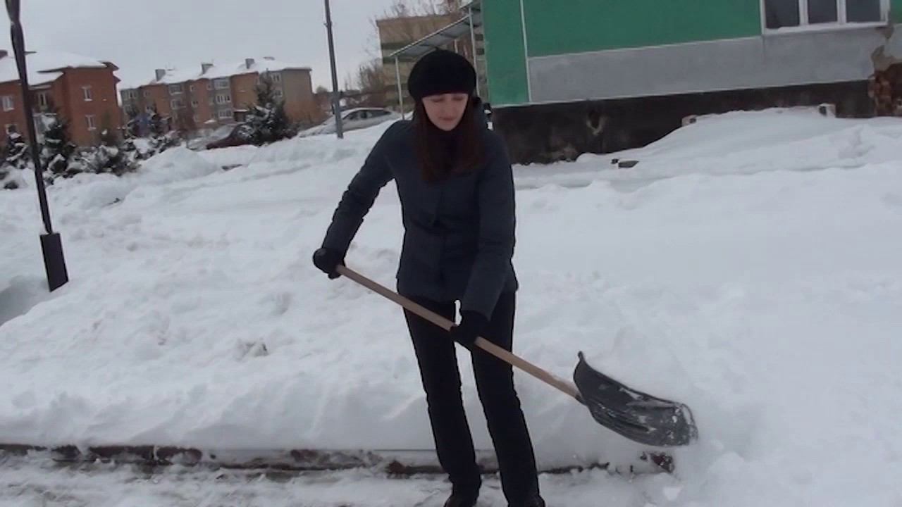 Субботник