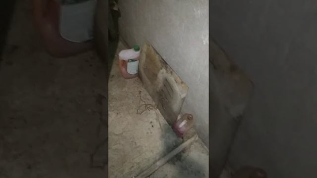 Как поймать крысу 2 смотреть онлайн