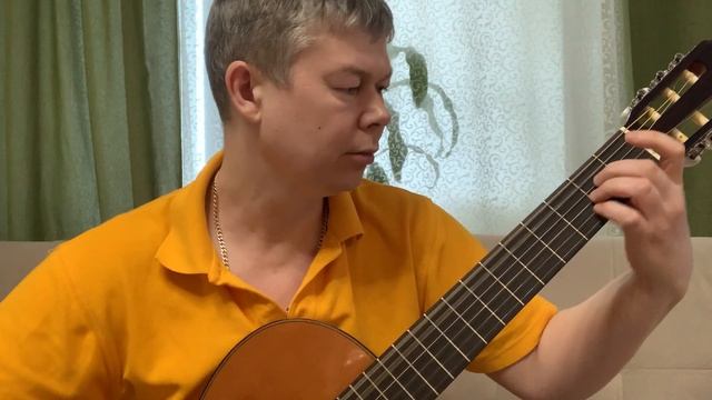 Гитара Esteve 5 - Englishman In New York - Sting смотреть онлайн