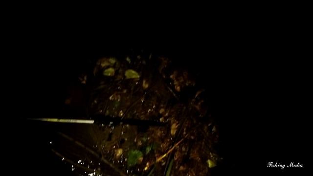 Рыбалка на налима осенью 2022. #9. Погода ЖЕСТЬ! Хороший хозяин собаку не выпустит! А я на рыбалку! смотреть онлайн