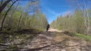 От Мшинской до Дивенской