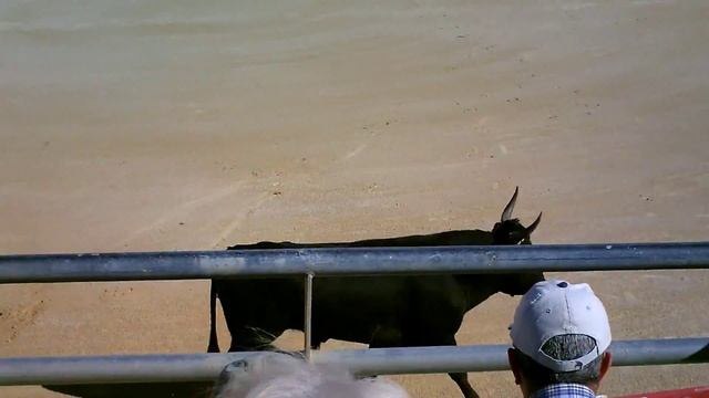 Course de taureaux - Sainte Marie de la Mer смотреть онлайн