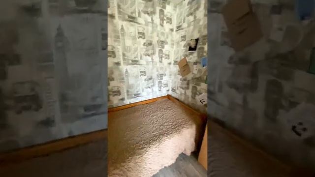 В продаже 2х комнатная квартира на Северо-западной 54 смотреть онлайн