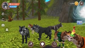 ПРОКАЧИВАЕМ 100 УРОВЕНЬ в игре WildCraft СИМУЛЯТОР ВОЛКА