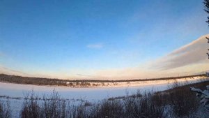Находки в тайге / Охота с лайками / промысел 2020