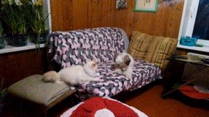 вдвоем весело