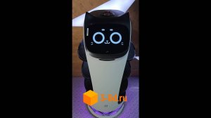 Робот официант, робот промоутер BellaBot