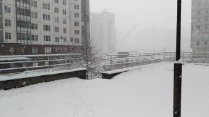 В Петербурге снегопад