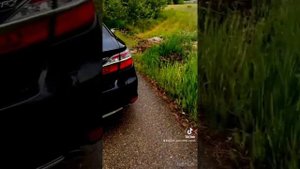 Камри 55 Европа . Toyota Camry. Тойота Камри 55 обзор