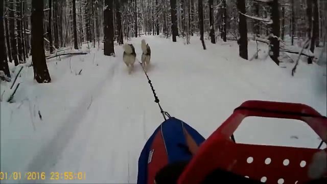 Январская метель 2018 г. смотреть онлайн