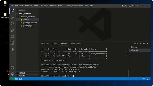 Creación de un contenedor de MariaDB usando Docker y conexión a una aplicación de Nodejs смотреть онлайн