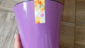 Нужности для растений. Горшки Арте и Фиджи.