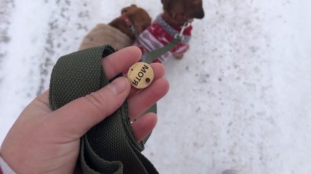 Прогулялись и забрали глистогон для собак с яндекс маркета смотреть онлайн