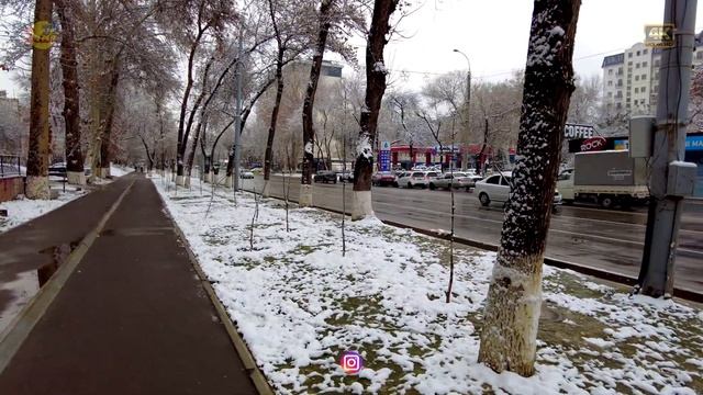 В Ташкенте идёт снег! Чиланзар-23! (прогулка) | It's snowing in Tashkent Chilanzar-23! (walking)