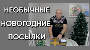 210. Белореченск перед Новым годом/Жизнь на юге после переезда с Урала