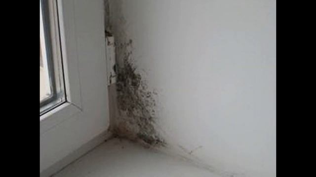 ПРИЕМКА КВАРТИРЫ