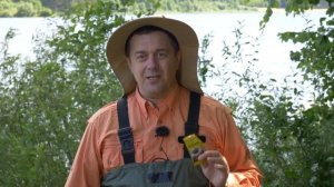 МОШКА Давай, до свидания! ) ЗАЩИТА ОТ МОШКИ...