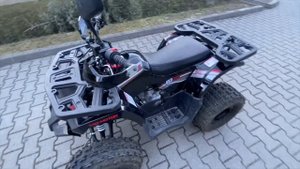 Tao Motor Hunter 125 (4x2) walk around!