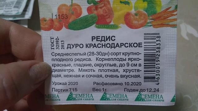 Редисочка ,редька и репа петровская 2022