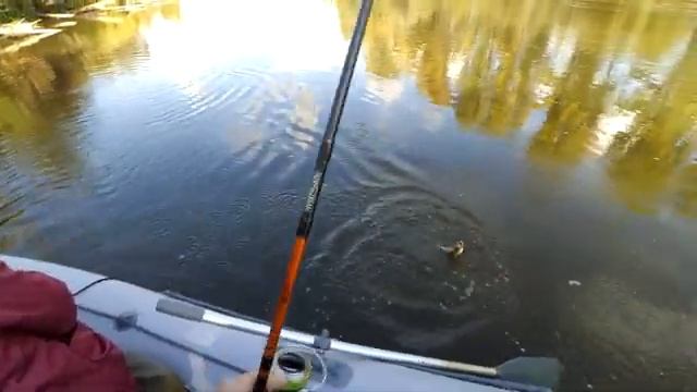 Ловля язя сплавом на спиннинг 12.09.2021 смотреть онлайн