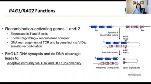 11/17/2020 PIDD – When & How