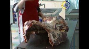 Первичная обработка мяса. "Обвалка говяжьей полутуши"