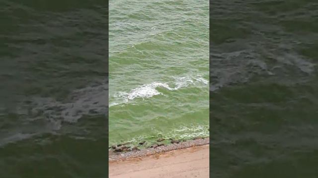 Ах как хочется вернуться в городок....... смотреть онлайн