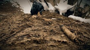 Обзор на ttf рогатку