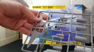 Boeing 737-800 много не бывает!