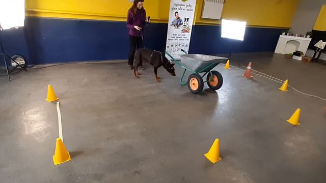 Категория Транспорт. Класс 0. смотреть онлайн