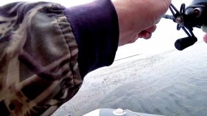 РЫБАЛКА С ПОДПИСЧИКОМ НА ЗМЕЯ//ОХОТА ПО ЗМЕЕГОЛОВУ//ВСЁ ТАКИ ОН СДАЛСЯ И СЕЛ НА КРЮЧОК