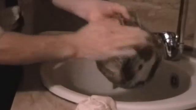 Гель для духовых шкафов. Код Amway 0014 смотреть онлайн